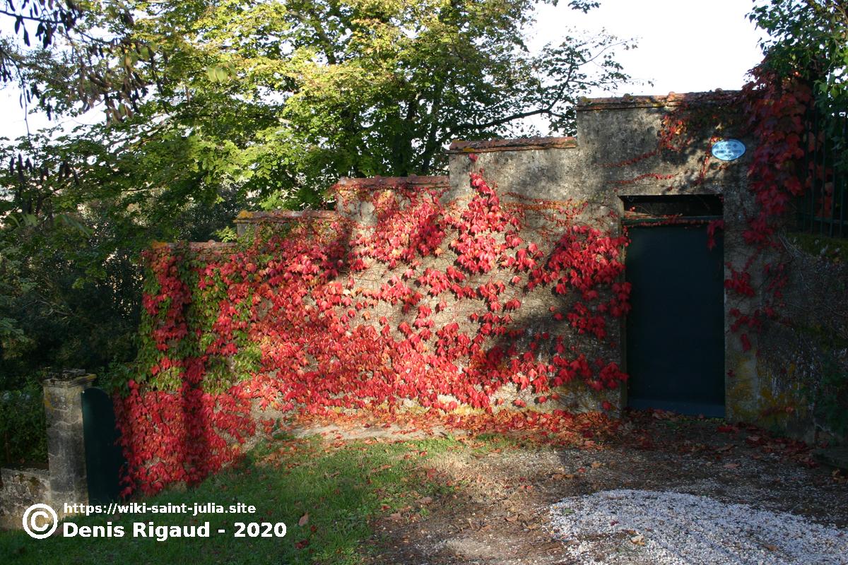 2005_11_jardin_peyssous_automne_226_2663cor_copie.jpg