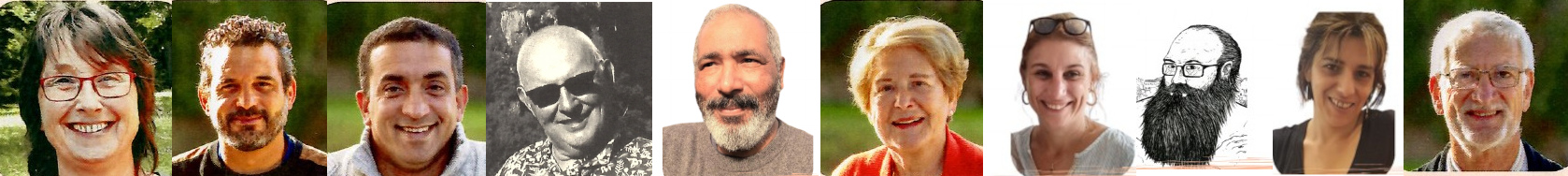 Elections partielles à Saint Julia Elections partielles à Saint Julia