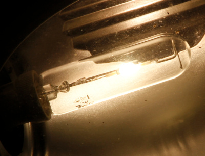 ampoule à incandescence ampoule à incandescence