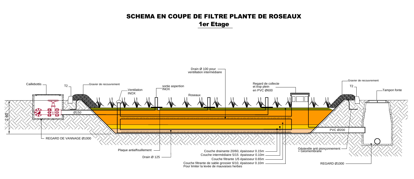 stjulia_20221110_station_epuration_plan_roseaux_etage_1.jpg