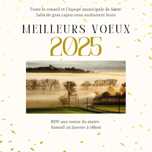 stjulia_20240125_voeux_du_maire.webp