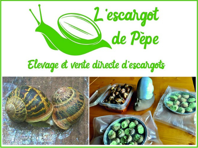 roumens_2022_escargot_elevage.jpg