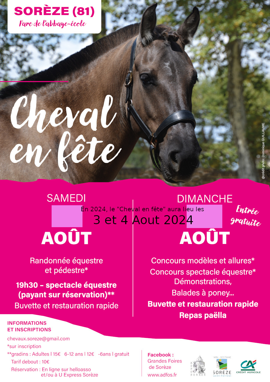 soreze_20240812_cheval_en_fete_01.jpg