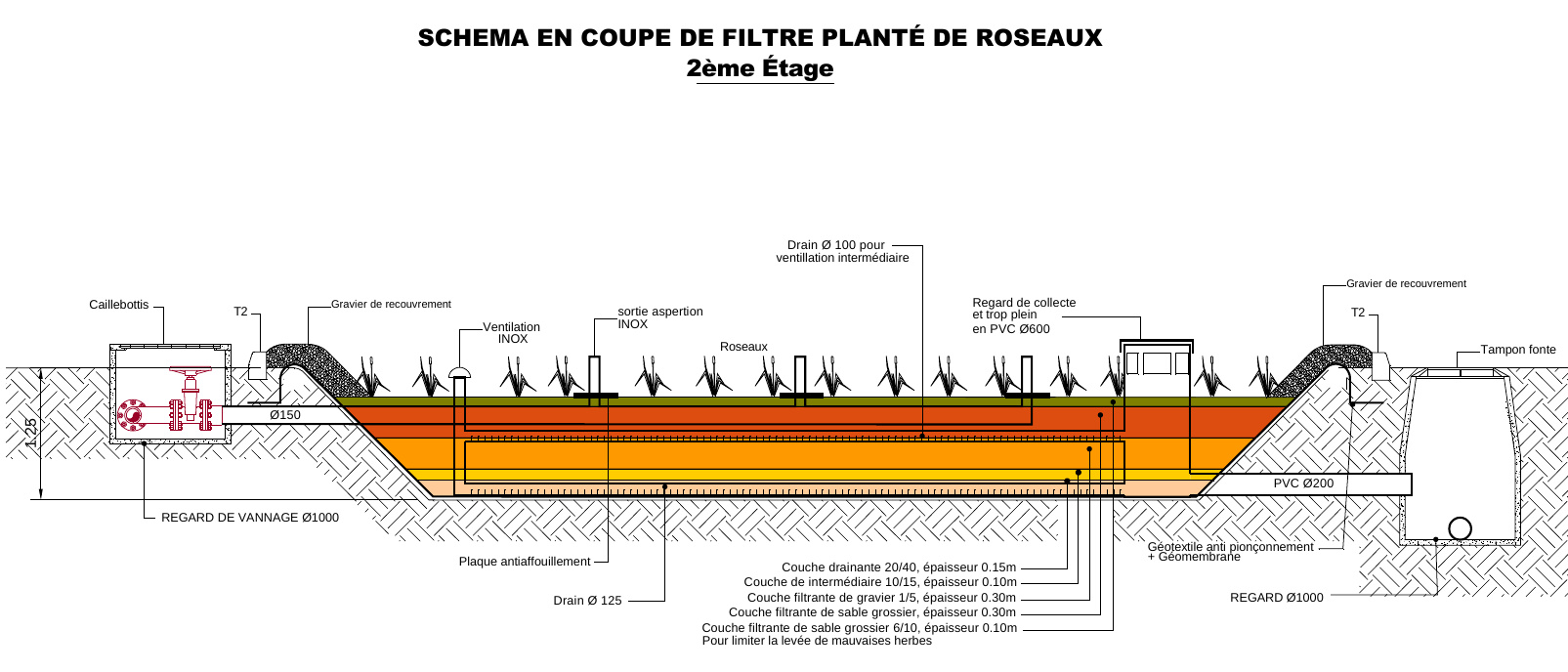 stjulia_20221110_station_epuration_plan_roseaux_etage_2.jpg