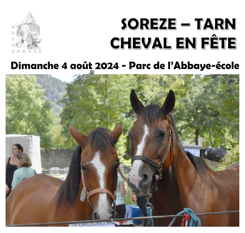 soreze_20240804_cheval_en_fete_01.jpg