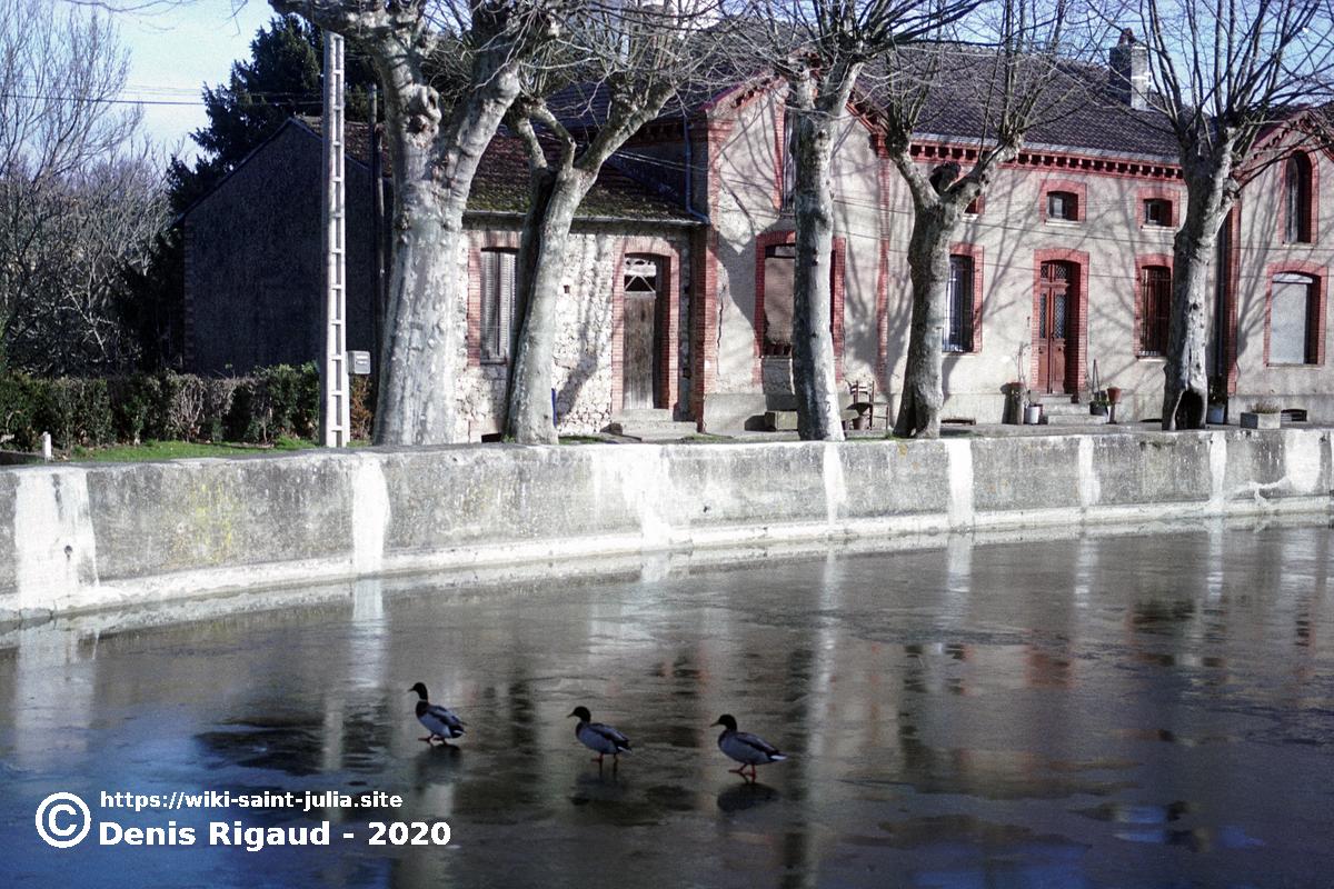2004_mare_gelee.jpg 2004_mare_gelee.jpg