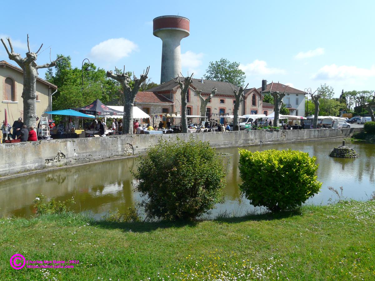 stjulia_20220508_sjet_charles_03.jpg stjulia_20220508_sjet_charles_03.jpg